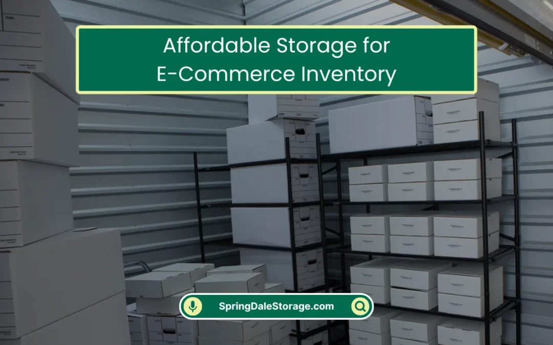 Affordable Storage for E-Commerce Inventory (2025)