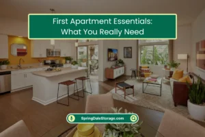 First Apartment Essentials What You need