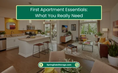 First Apartment Essentials: What You Really Need (2025)