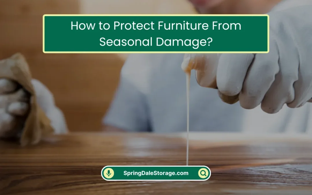 How to Protect Furniture From Seasonal Damage? (2025)