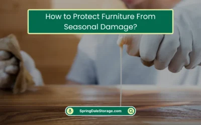 How to Protect Furniture From Seasonal Damage? (2025)